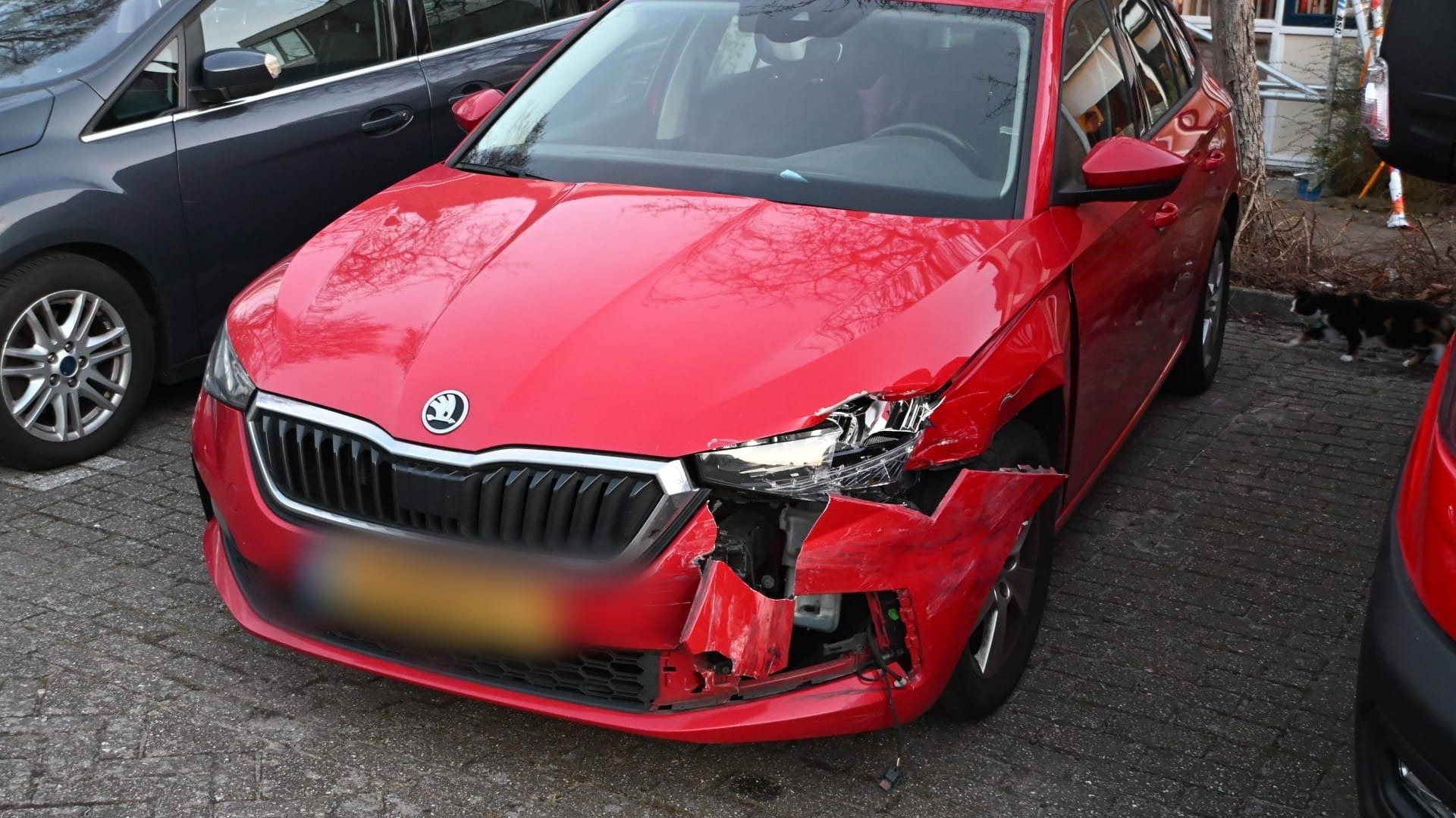 Foto: WhatsApp Image 2026-03-18 at 19.13.04 (2).jpeg